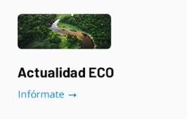 Actualidad Eco