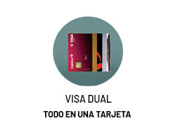 Visa Dual