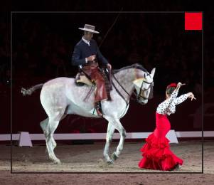 Pasión y duende del caballo andaluz